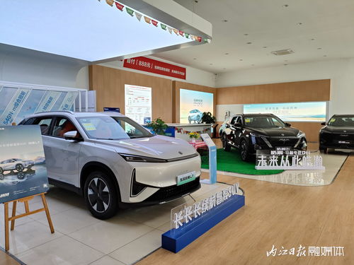 內江第三十五屆汽車文化周│內江車易通汽車銷售服務 長長長續航智混suv 等你來體驗